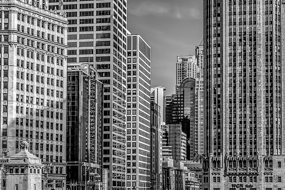 CITY0099