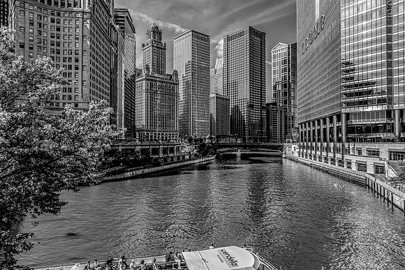 CITY0084