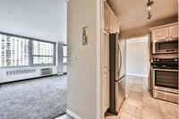 1255 N Sandburg Ter.