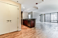 160 E. Illinois St. Unit 1305