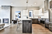 819 N Paulina St. Unit 3N