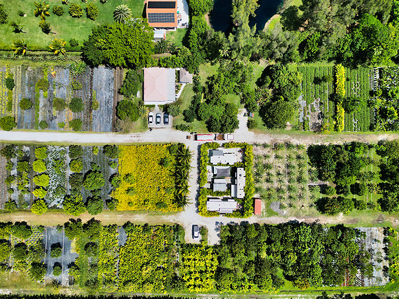 DJI_0003