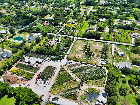 DJI_0028