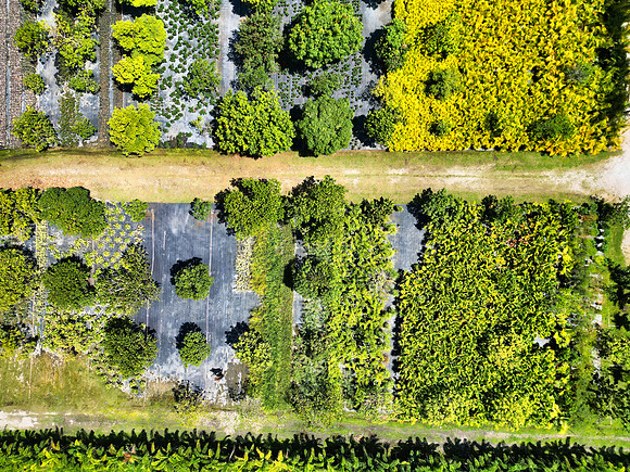 DJI_0021