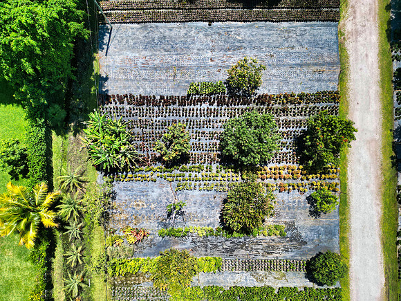 DJI_0013