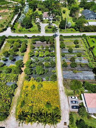 DJI_0007