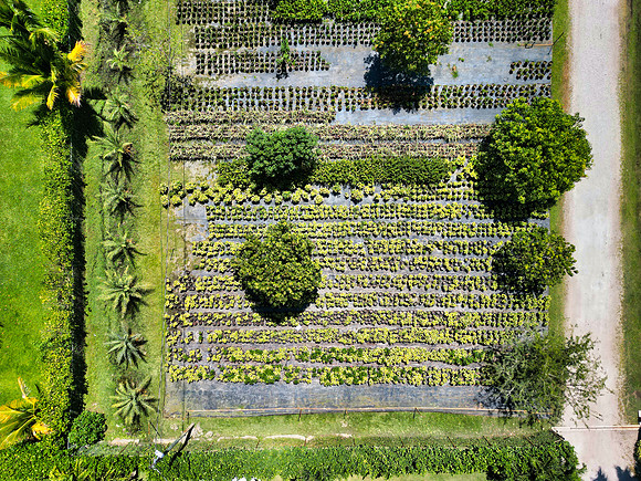 DJI_0012