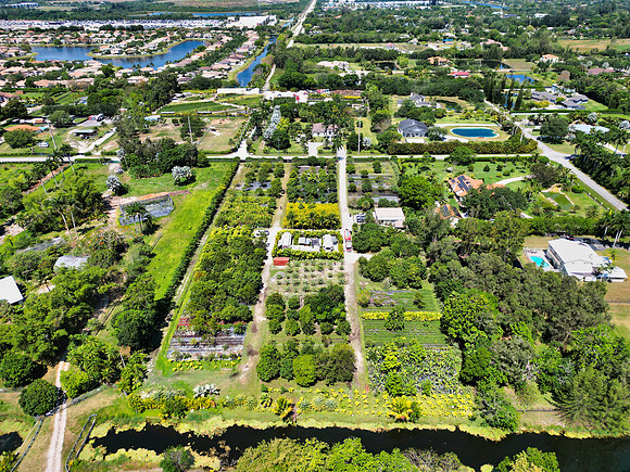 DJI_0005