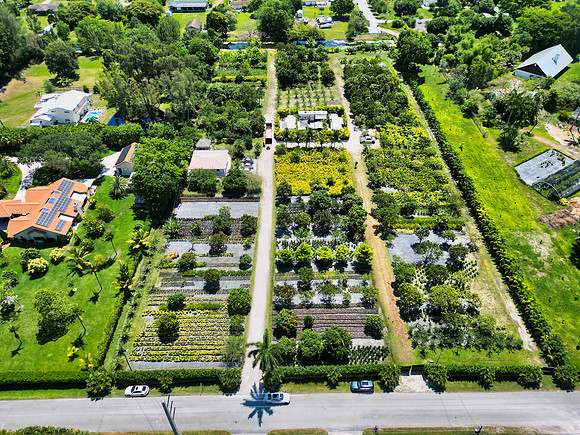 DJI_0023
