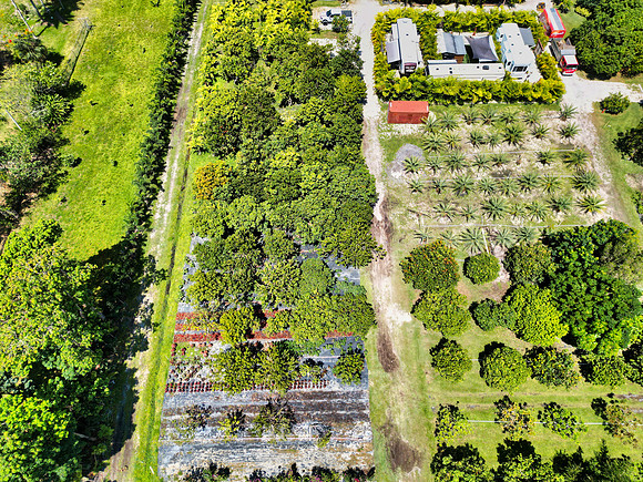 DJI_0018