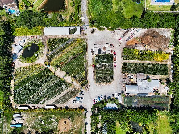 DJI_0027
