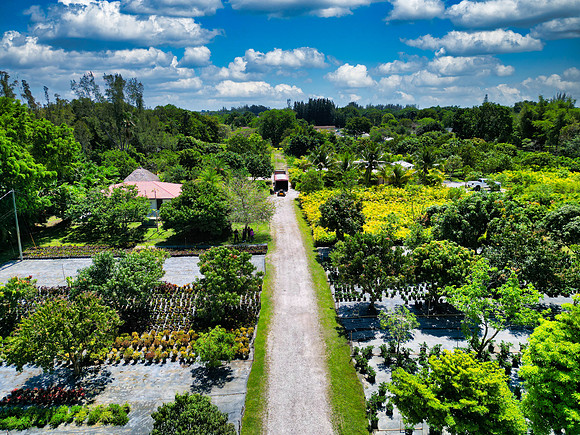 DJI_0011