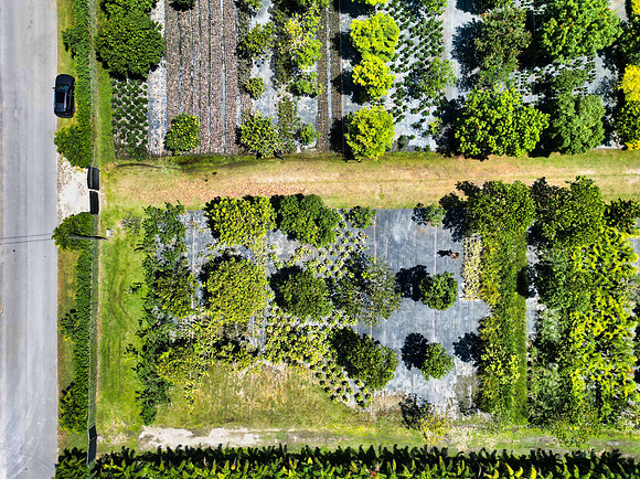 DJI_0022