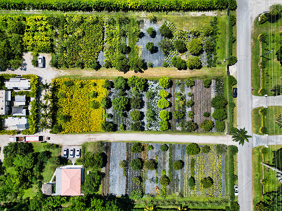 DJI_0006