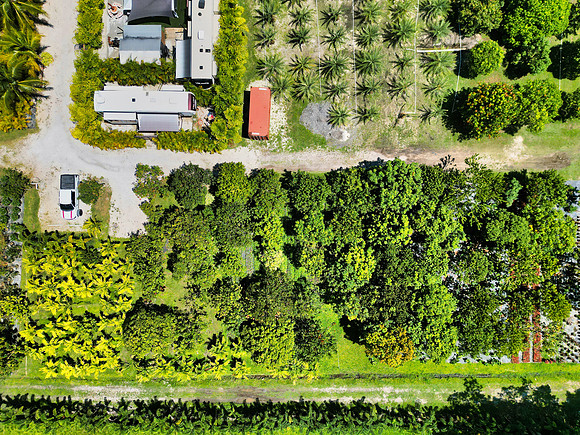 DJI_0020