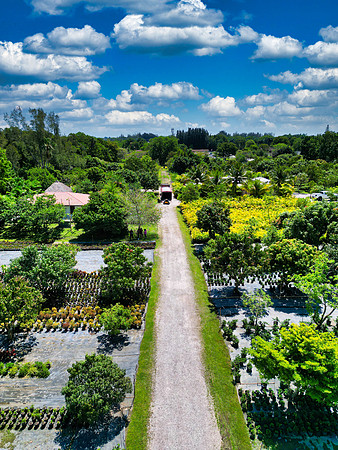 DJI_0010