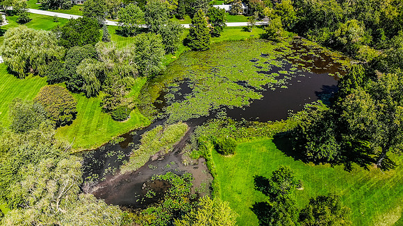 DJI_0509