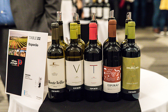 WINE0070