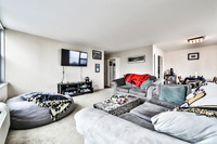 ALEX0039
