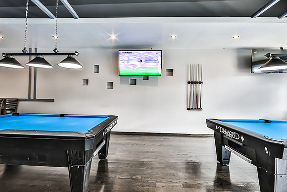 DINO0116