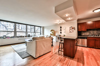 1255 N Sandburg Ter. Unit 304