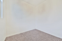 RENO0037