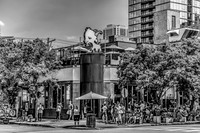 CITY0177