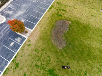 DJI00361
