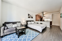 20050065