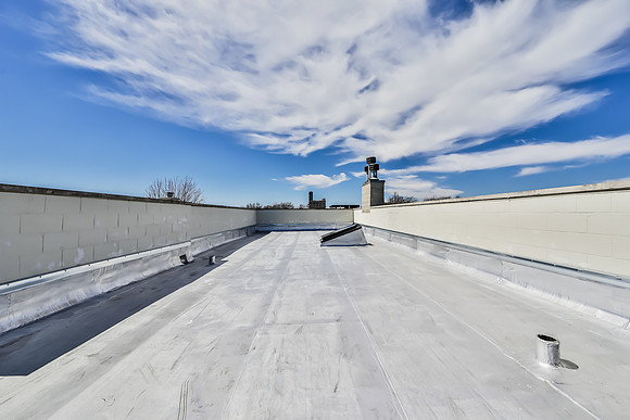 SHRK0067