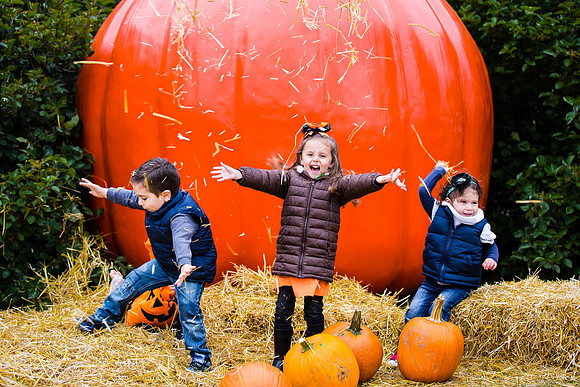 IMGL0315