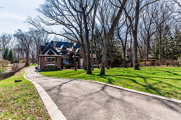 White Oak LN-25