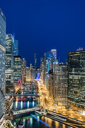 MOLL0155