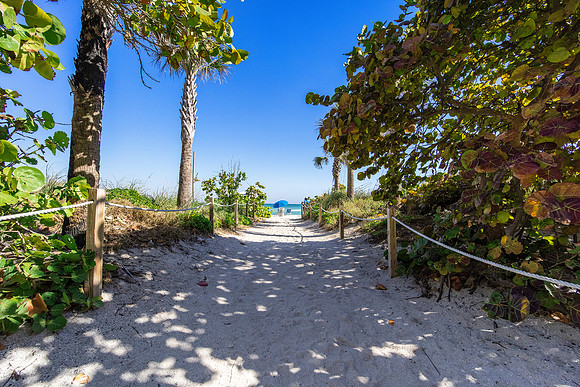 Nils 6301 Collins Ave Miami Beach PH3_37